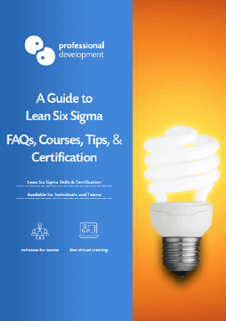 Lean Six Sigma Guide