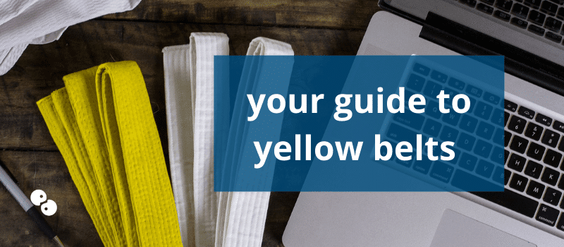 What is a Lean Six Sigma Yellow Belt?